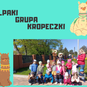 Alpaki w grupie Kropeczek
