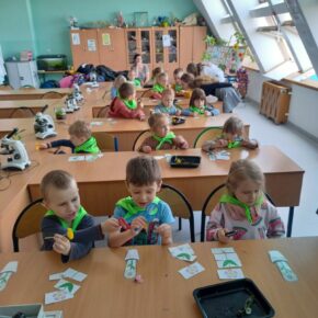 Kotki w Szkole Podstawowej w Kobierzycach