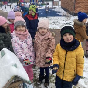 Tygryski dokarmiają ptaki
