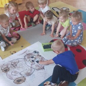 Jesteśmy niedzwiadki!