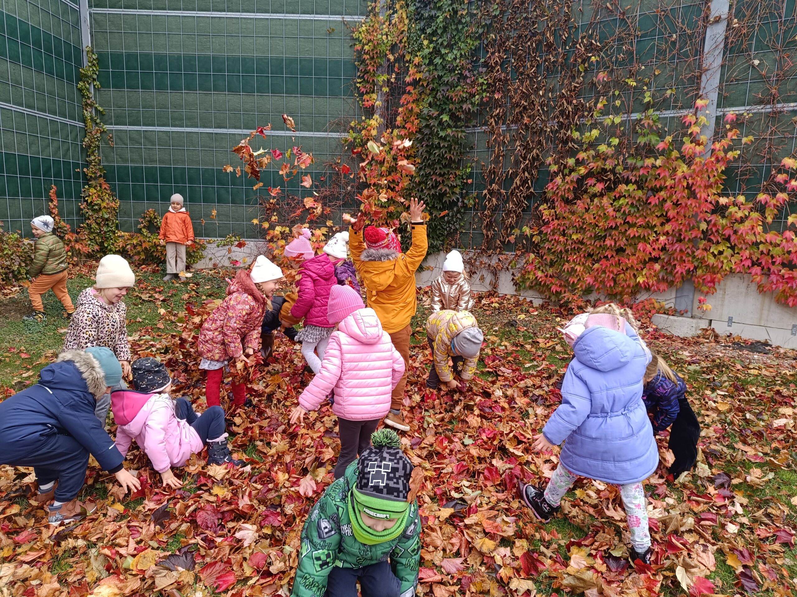 Biedronki uwielbiają kolorową jesień.