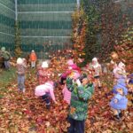 1762236424224 150x150 - Biedronki uwielbiają kolorową jesień.