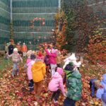 1762236424245 150x150 - Biedronki uwielbiają kolorową jesień.