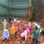 1762236424287 150x150 - Biedronki uwielbiają kolorową jesień.