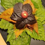 1762236424305 150x150 - Biedronki uwielbiają kolorową jesień.