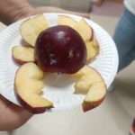 1762630967772 150x150 - Warsztaty warzywne