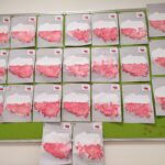 IMG 20251110 164408 150x150 - 11 listopada ,, Narodowe Święto Niepodległości "