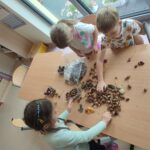 IMG 20250923 133923 150x150 - Jesienne porządki