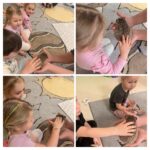 06D6D6D1 01BC 47DE 88B9 2F551F9101FB COLLAGE 150x150 - Myszki i jeż pigmejski odwiedziły nasze Gruszki!