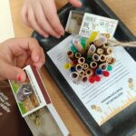 1773994063070 150x150 - pszczoły murarki