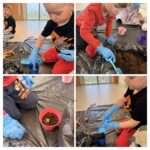 67EAC809 83B5 4FEC AAC3 43FF0CC4FE41 COLLAGE 150x150 - Grupa Gruszki działa!