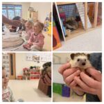 87FC54B2 097B 434E ABEB 6B0F33EA8B21 COLLAGE 150x150 - Myszki i jeż pigmejski odwiedziły nasze Gruszki!