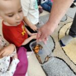 IMG20260312095328 150x150 - Egzotyczne zwierzęta