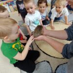 IMG20260312100132 150x150 - Egzotyczne zwierzęta