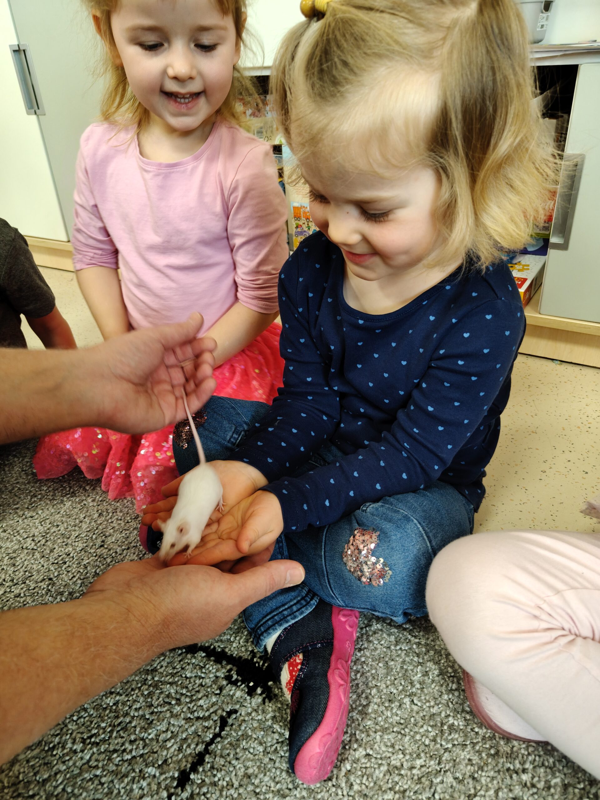 Egzotyczne zwierzęta