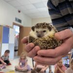 IMG 9586 150x150 - zwierzątka