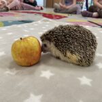 IMG 9589 150x150 - zwierzątka