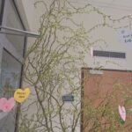 20260401 085730 150x150 - Odwaga to zrozumienie &ndash; wyjątkowy dzień w naszym przedszkolu 💙